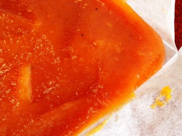 Persimmon Paste