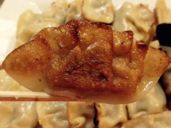 Gyoza