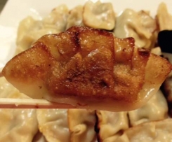 Gyoza