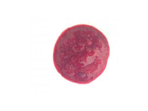 Raw Raspberry Coulis