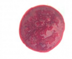 Raw Raspberry Coulis