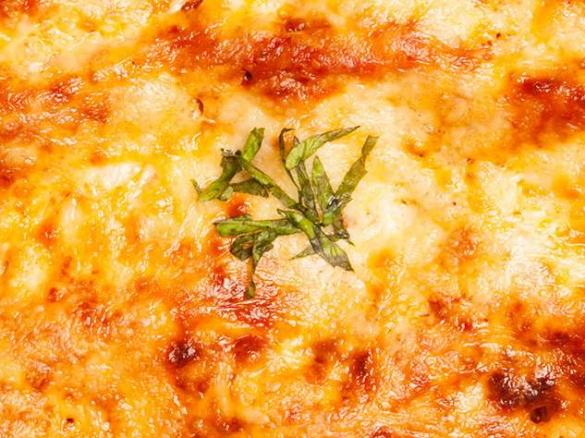 lasange / pasta / bolognese sauce