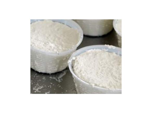 Easy Peasy Ricotta Cheesy