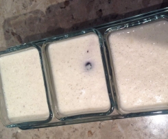 Coconut Berry Panna Cotta LCHF