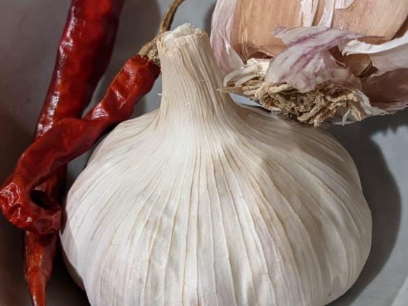 Palak "Paneer" (with halloumi)