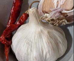 Palak "Paneer" (with halloumi)