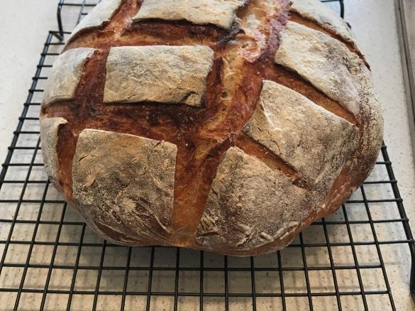 Basic Sour Dough Bread
