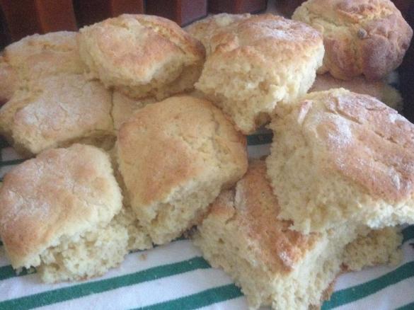 Gemma's Scones. 