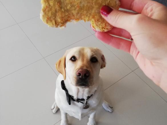 Georgie’s Treatos ( dog treats)