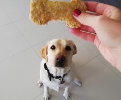 Georgie’s Treatos ( dog treats)