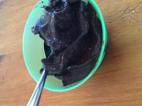 Instant icecream - chocolate or vanilla