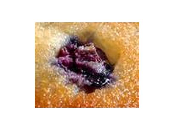 Grain Free Blueberry and Coconut Muffins