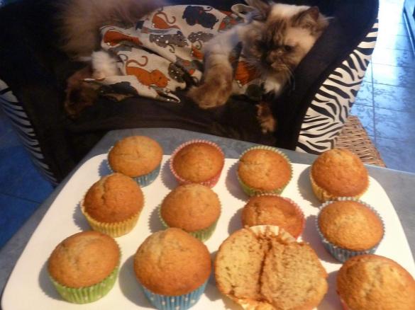 Thermo-cat Jemima's Healthy Banana-Coconut muffins