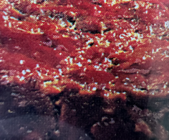 Meatloaf with tomato glazing