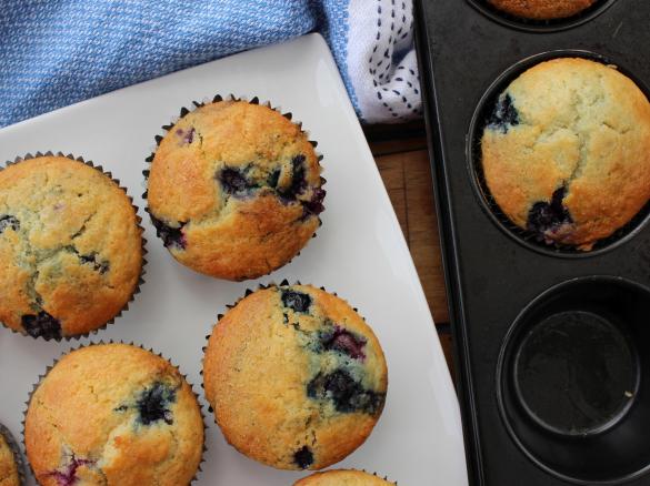 Low Sugar Blueberry and Yogurt Muffins