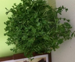 Waitangi Day Watercress & Kumera Soup