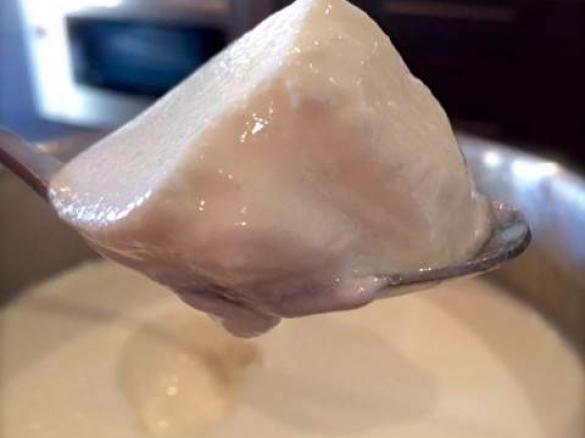 Easy Thick Vanilla Yoghurt for the Time-Poor