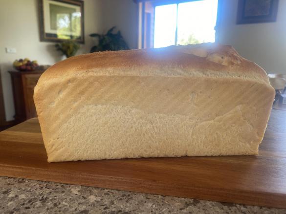 Janine's Crusty White Bread - Thermie and Friends