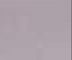 Sweet potato & caramelised onion quiche