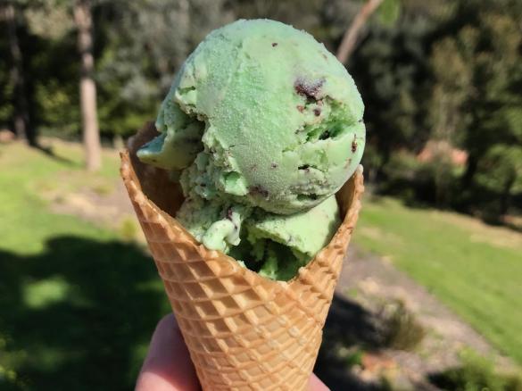 Peppermint Choc Chip Ice Cream