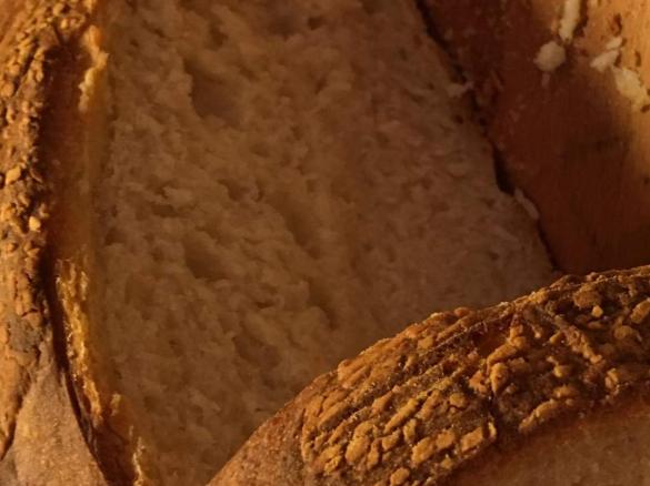 Sourdough Starter Culture 