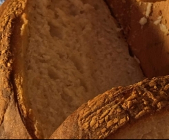 Sourdough Starter Culture 