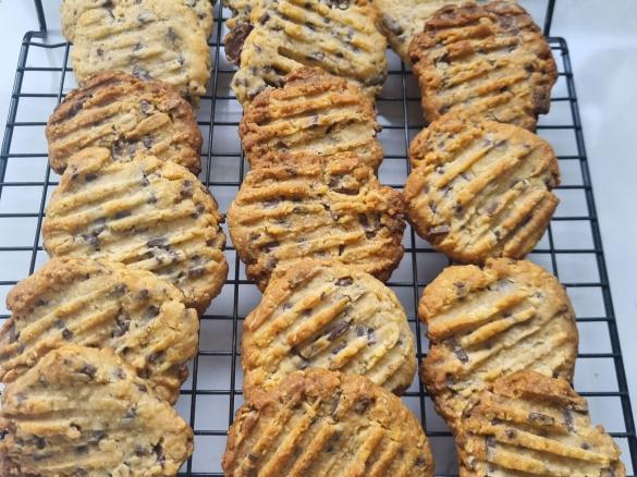 Chocolate Chip Oat Cookies