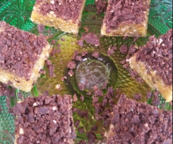 Raw Apricot, Cashew and Chia Slice