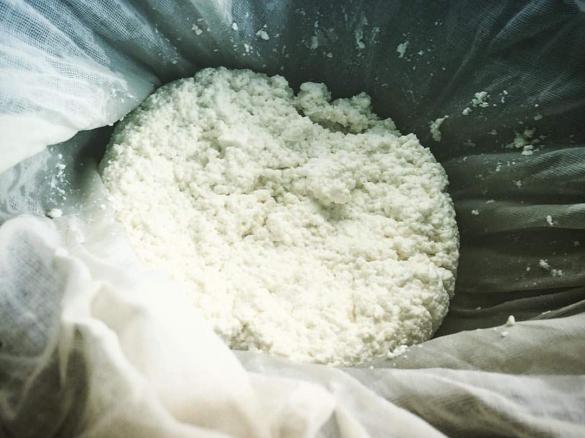 Homemade Ricotta 