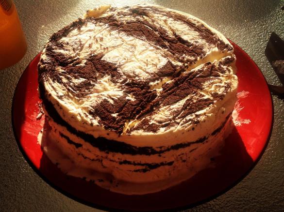 Oreo and Vanilla Bean Ice-Cream Cake