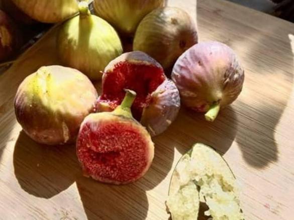 Fig and Finger Lime Jam