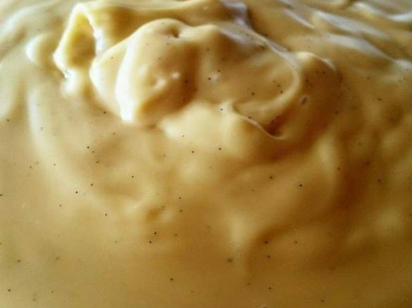 Thick Vanilla Custard - Thermomumma