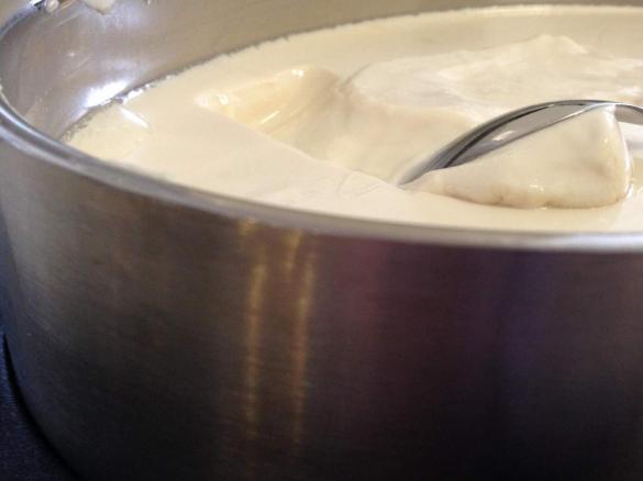 Never Fail Thick & Creamy Vanilla Yoghurt