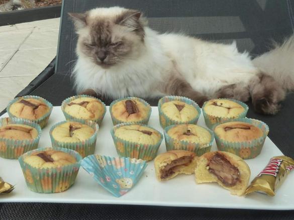 Thermo-cat Jemima's Twix Cupcakes