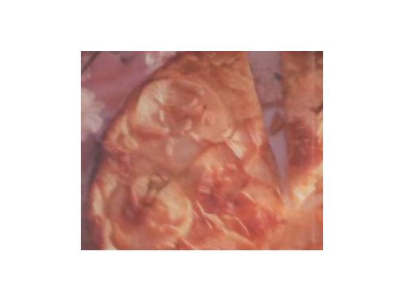 Best Apple Cake Ever