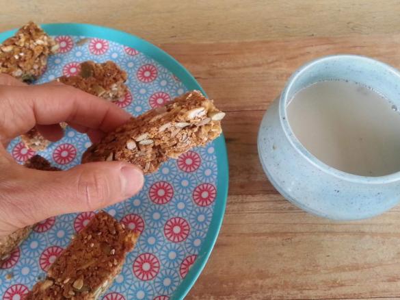 MuesliBars (nut free)