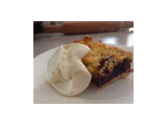 mulberry coconut slice