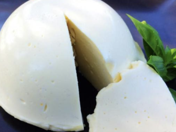 Variation of Thermomix Mozzarella and Bocconcini Cheese