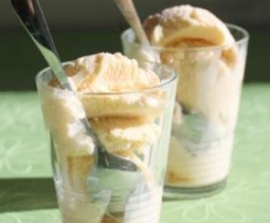 Creamy Vanilla and Cinnamon Ice Cream