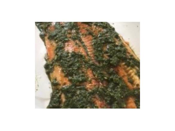 Asian Ocean Trout/Salmon