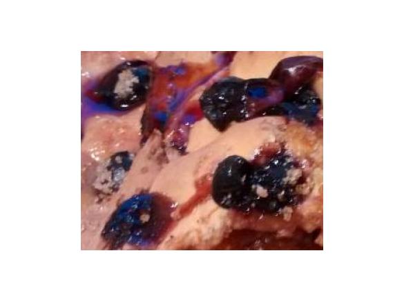 Schiacatta Grape Harvest Pizza with Fennel