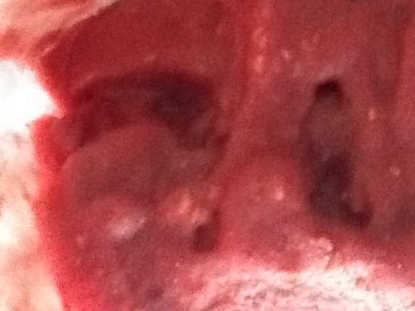 Merryn's frozen berry yoghurt