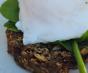 thumbnail image 1