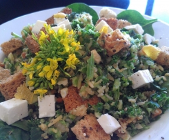 Healthy Raw Green Salad