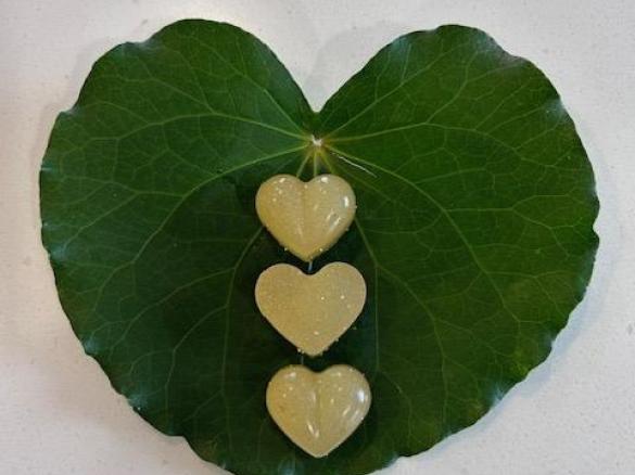 Goodness Immune Booster Gummies