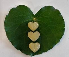 Goodness Immune Booster Gummies