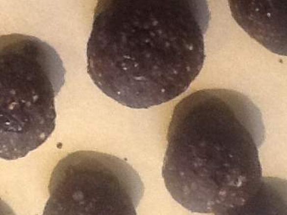 Chocolate And Cranberry Balls