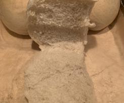 Soft and Fluffy Bread Rolls