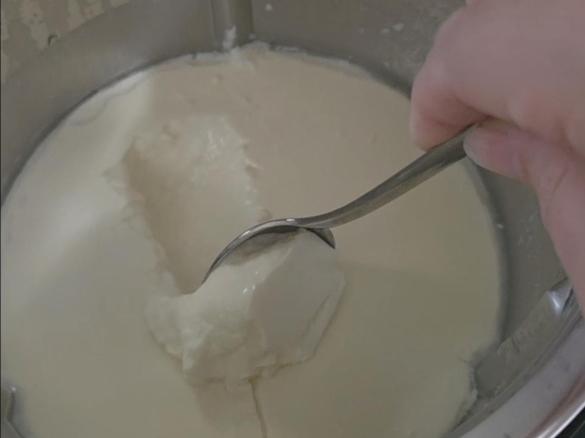 Yogurt - no heat milk