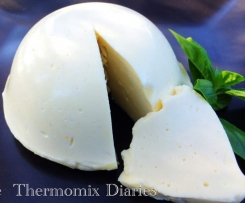 Thermomix Mozzarella and Bocconcini